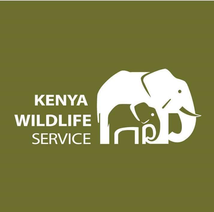 Kenya-Wildlife-Service