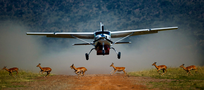 3-Day Masai Mara Flying Safari Package