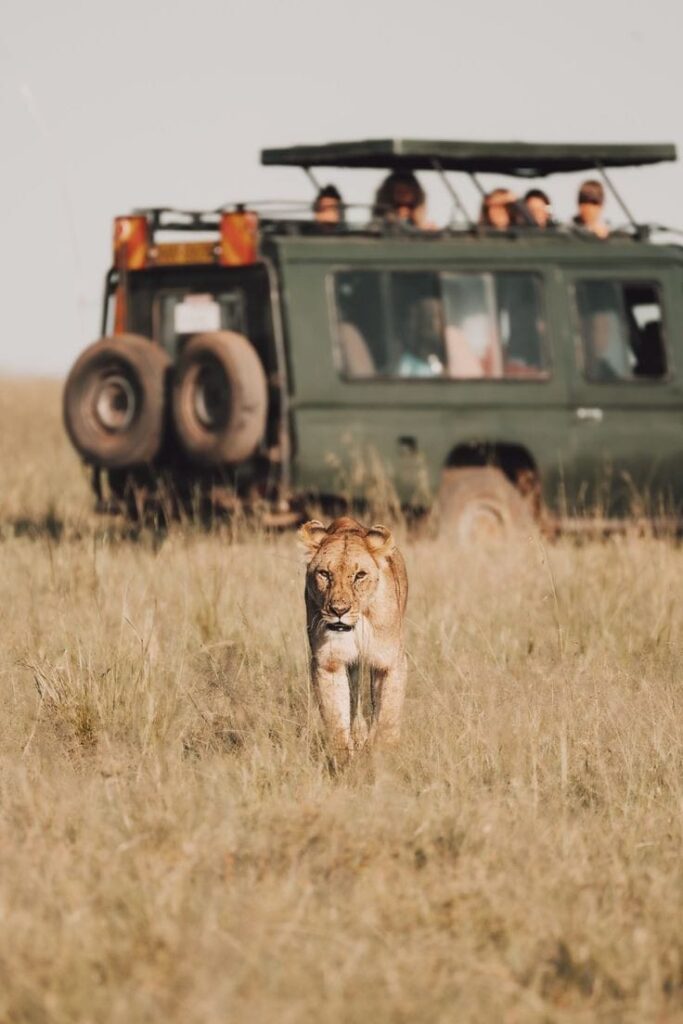 10 Days Masai Mara, Amboseli & Mombasa Safari